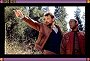 pic from 'First Contact